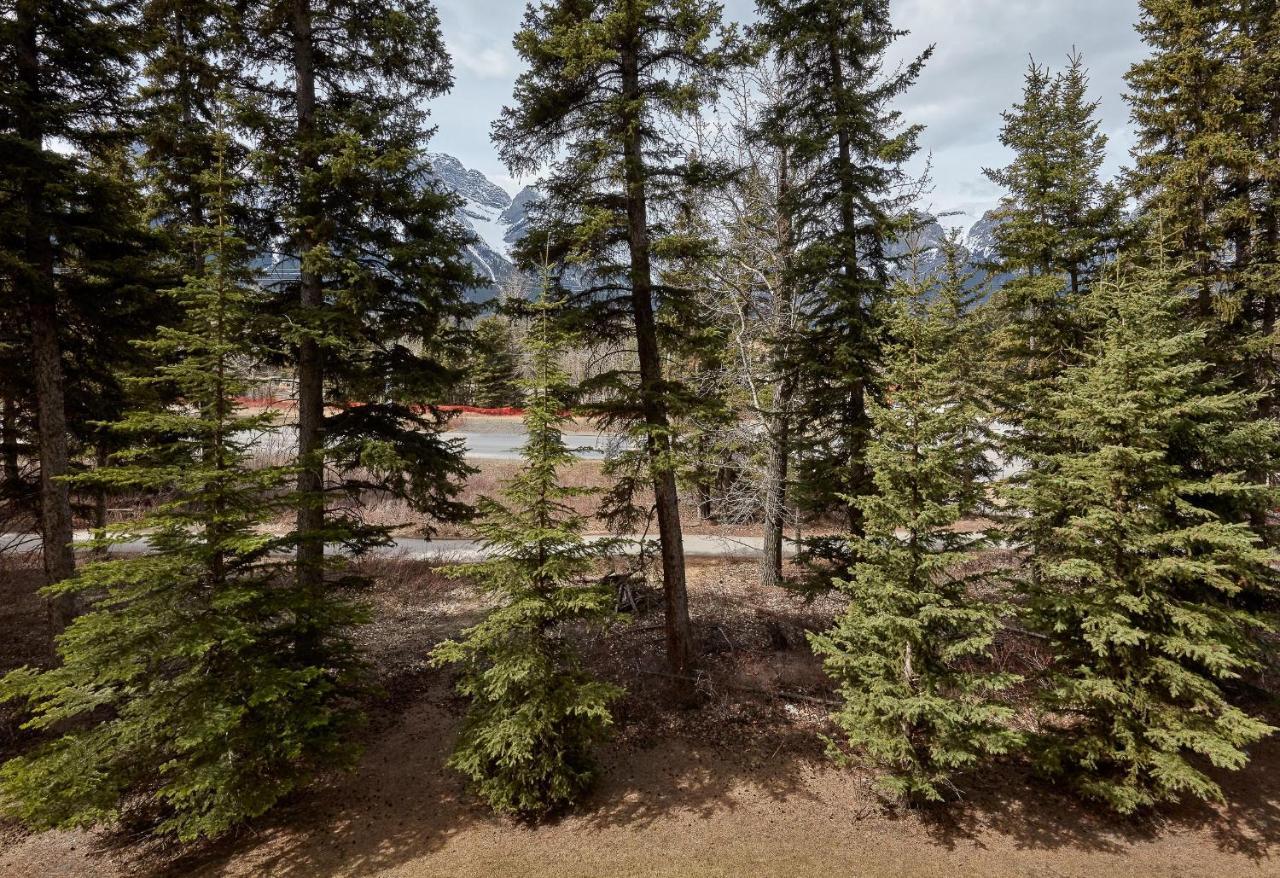 Newly Renovated Grizzly Lodge, Spacious 3Br 2Ba With Open Pool, Hot Tub Canmore Exterior foto